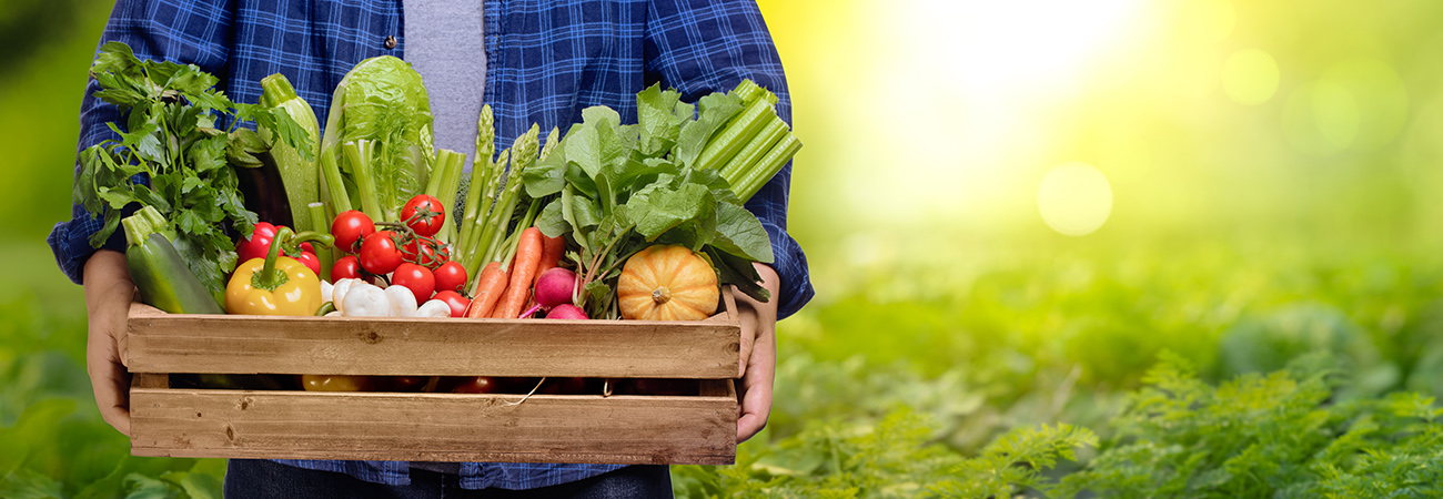 Agrotourism