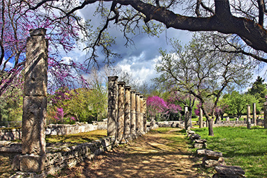 Peloponissos - Ancient Olympia - Palaestra