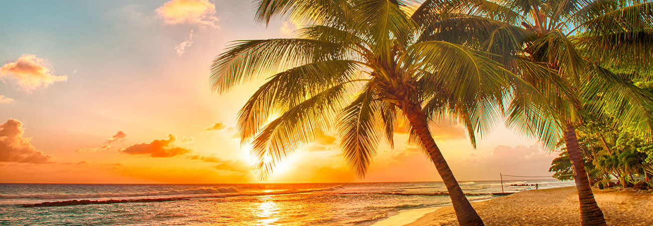  Barbados 