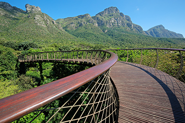 South Africa-Cape Town-Εθνικοί Βοτανικοί Κήποι Kirstenbosch