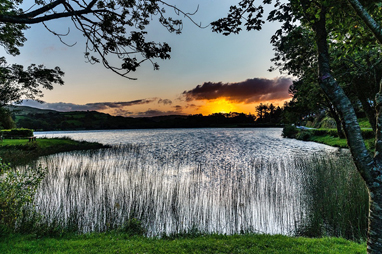 Cork - Fitzgerald Park