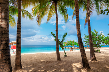 Kingston-Jamaica-Negril Beach & the Negril Cliffs