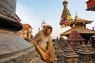 Nepal-Kathmandu-Swayambhunath Stupa