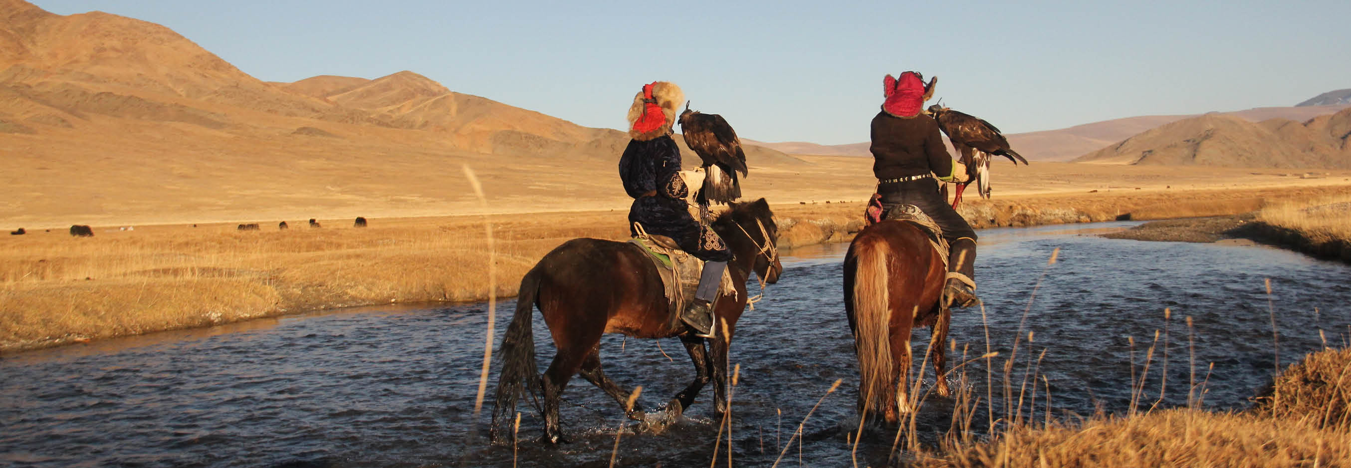  &Mu;&omicron;&gamma;&gamma;&omicron;&lambda;ί&alpha; 