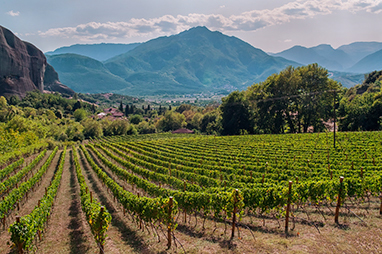 Peloponnese-Nemea-Wine Tours