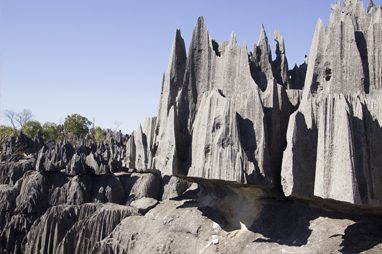 Ανταναναρίβο - Tsingy de Bemaraha National Park