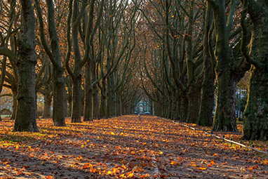 Peloponnissos-Vytina-Love Road