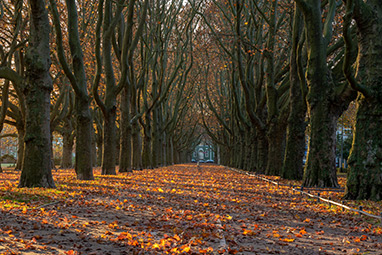 Peloponnissos-Vytina-Love Road