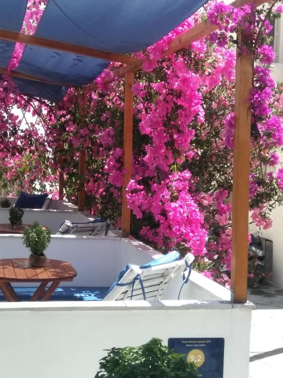 Doron Hotel Delfini | Naxos