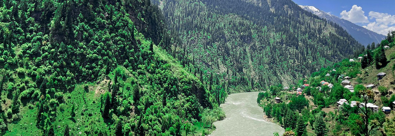 &Pi;&alpha;&kappa;&iota;&sigma;&tau;ά&nu; - &Mu;&epsilon; &tau;&eta; &phi;&upsilon;&lambda;ή &tau;&omega;&nu; &Kappa;&alpha;&lambda;ά&sigmaf; &kappa;&alpha;&iota; &tau;&omicron; &Phi;&epsilon;&sigma;&tau;&iota;&beta;ά&lambda; &Tau;&zeta;ό&sigma;&iota; 