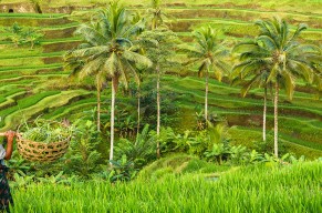 Μπαλί - Σιγκαπούρη