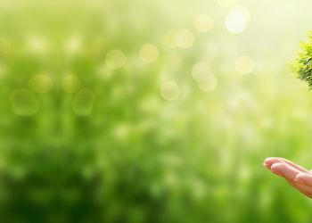Η βιωσιμότητα στον οργανωμένο τουρισμό αποκτά πυρήνα