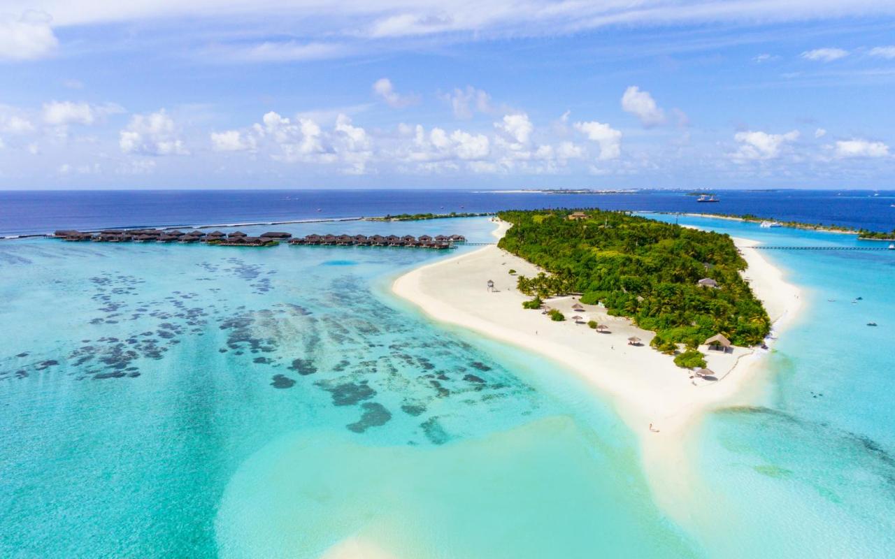 paradise island 4