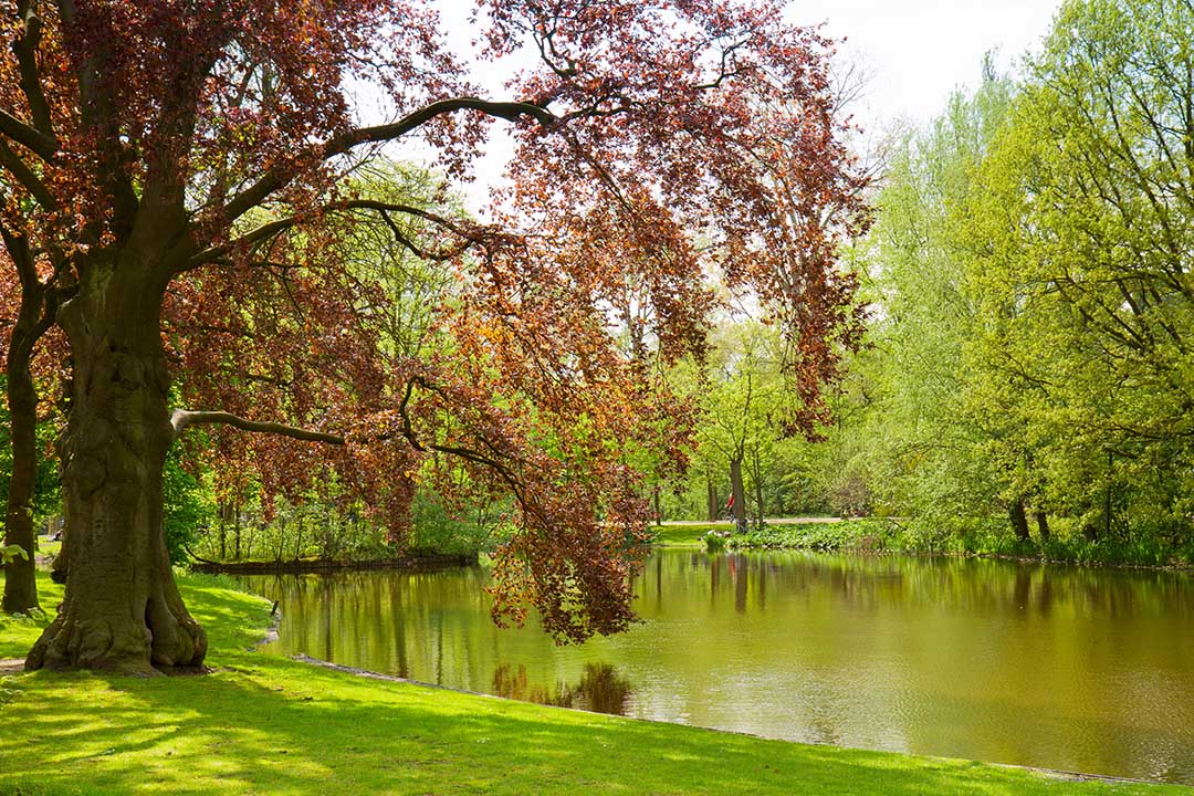 Amsterdam Vondelpark AdobeStock 52994197